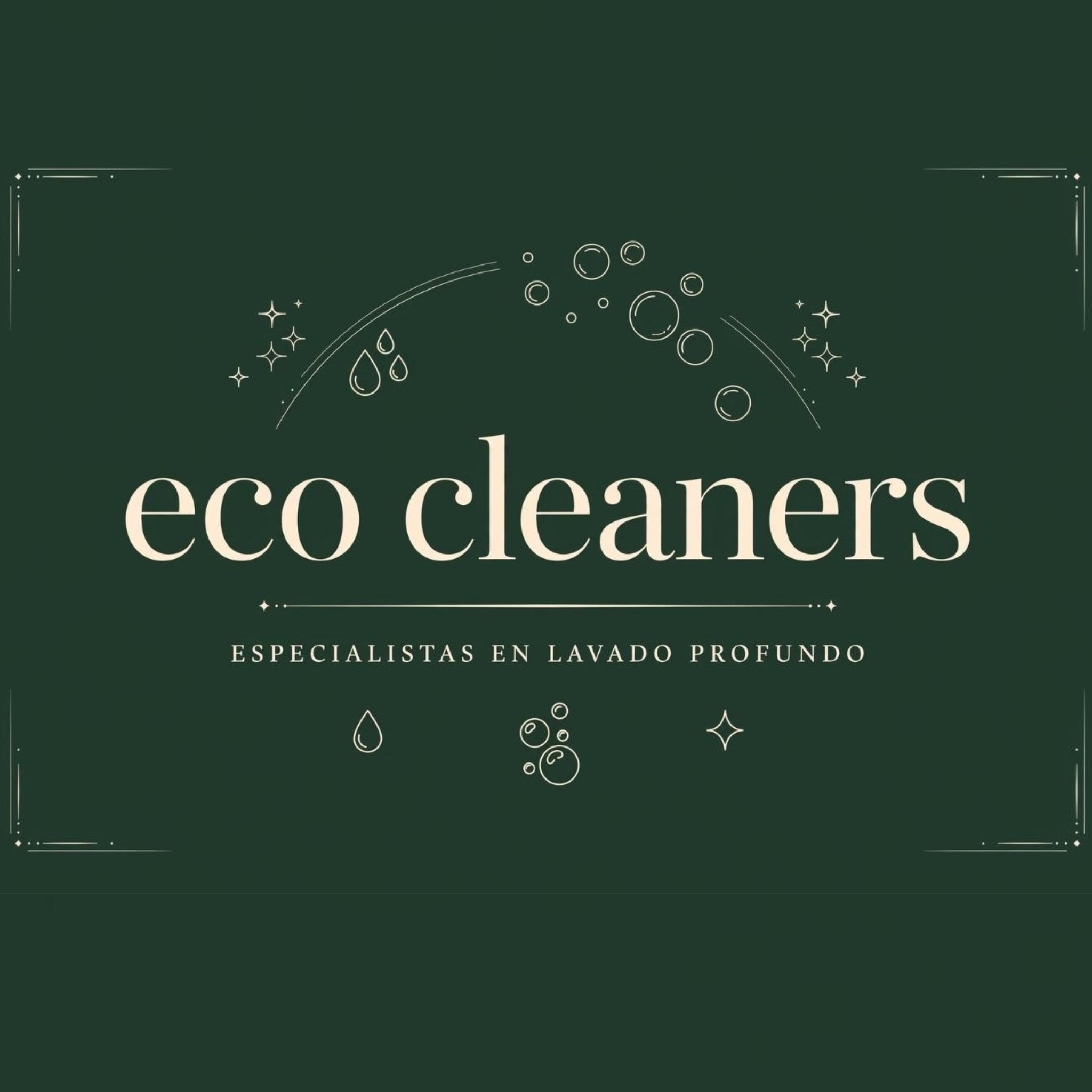 Logo de Eco Cleaners Tepic